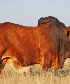 Jumbo The Boran Bull Diamond Painting