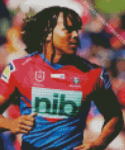 Newcastle Knights Diamond Painting