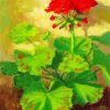 Red Geranium Plant Art Diamond Painting