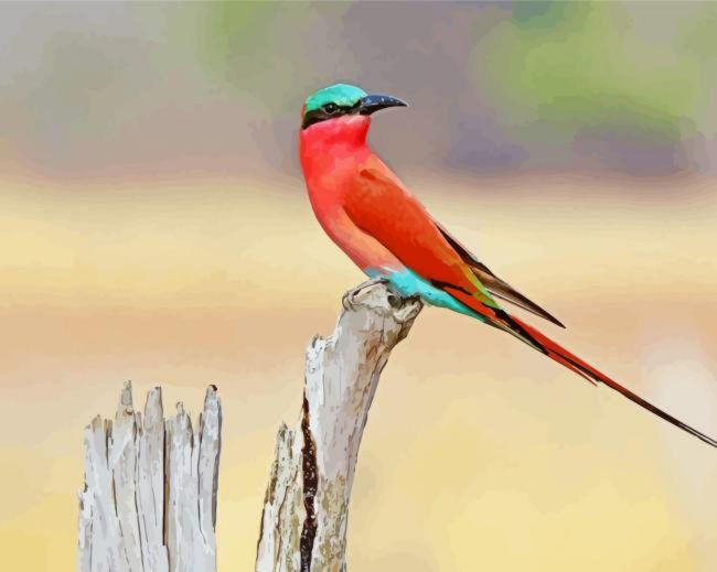 Southern Carmine Bee Eater Bird Diamond Painting