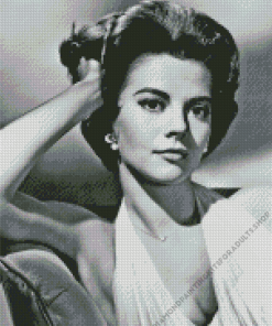 Black And White Natalie Wood Diamond Painting