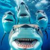 Sharks Underwater Selfie Diamond Painting