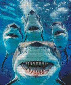 Sharks Underwater Selfie Diamond Painting