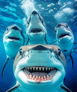 Sharks Underwater Selfie Diamond Painting