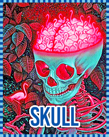 Skulls