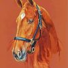 American Quarter Horse Head Art Diamond Painting