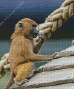 Baby Baboon Diamond Painting