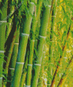 Bamboo Plant Diamond Painting