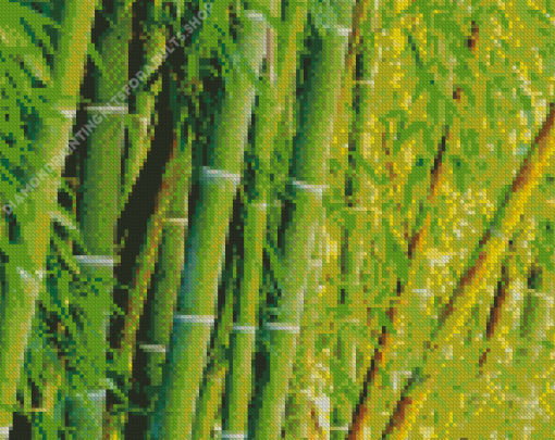 Bamboo Plant Diamond Painting