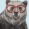 Bear With Glasses Diamond Painting