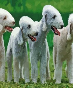 Bedlington Terriers Diamond Painting