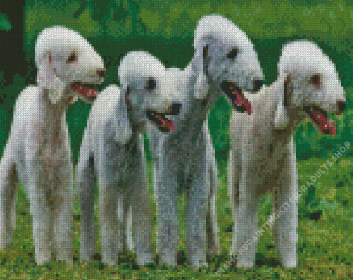 Bedlington Terriers Diamond Painting