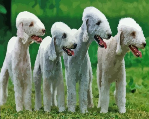 Bedlington Terriers Diamond Painting