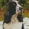 Black and White Spaniel Dog Diamond Painting