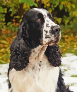 Black and White Spaniel Dog Diamond Painting