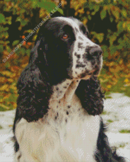 Black and White Spaniel Dog Diamond Painting