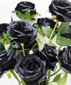 Black Floral Roses Diamond Painting