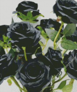 Black Floral Roses Diamond Painting