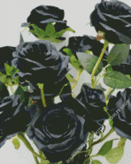 Black Floral Roses Diamond Painting