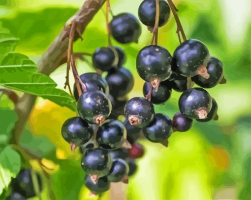 Blackcurrant Fruit Diamond Painting