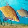 Bream Fish Diamond Painting