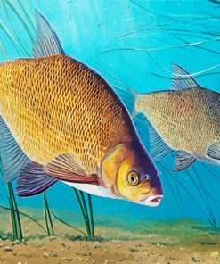 Bream Fish Diamond Painting