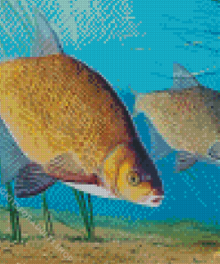 Bream Fish Diamond Painting