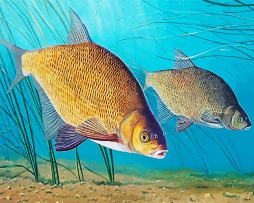 Bream Fish Diamond Painting