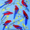 Crimson Rosella Birds Family Diamond Painting