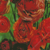 Dead Ranunculus Flowers Diamond Painting