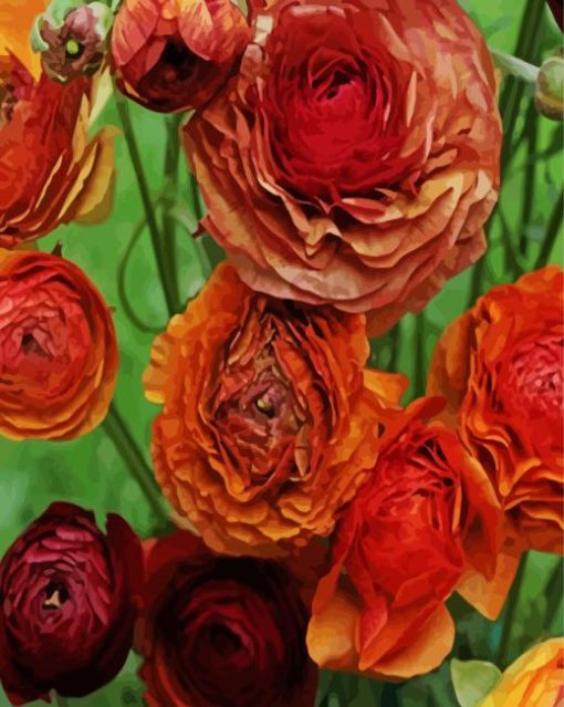 Dead Ranunculus Flowers Diamond Painting