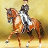 Dressage Horse Diamond Painting