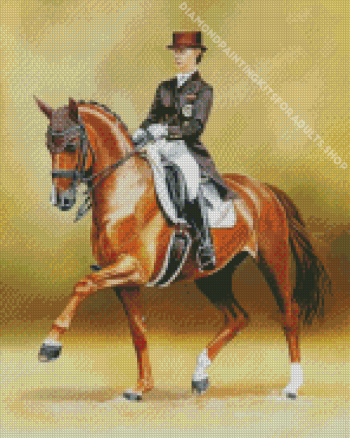 Dressage Horse Diamond Painting