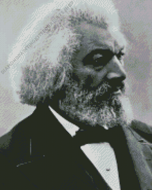 Frederick Douglass Diamond Painting