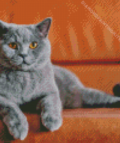 Grey Kitty Diamond Painting