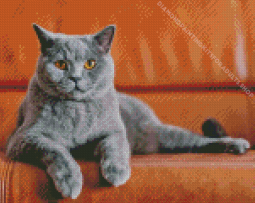 Grey Kitty Diamond Painting