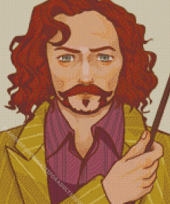 Harry Potter Sirius Black Diamond Painting