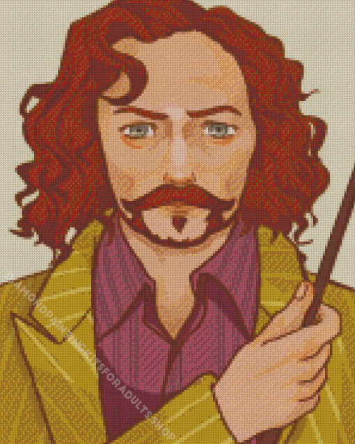 Harry Potter Sirius Black Diamond Painting