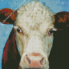 Hereford Cow Art Diamond Painting