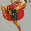 Kick Boxing Fighter Diamond Painting