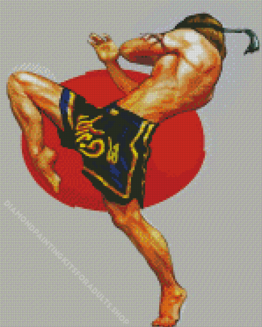 Kick Boxing Fighter Diamond Painting