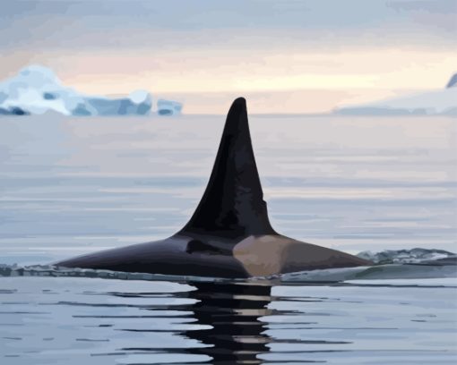 Killer Orca in Antarctica Diamond Painting