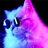 Neon Cats With Black Glasses Diamond Painting