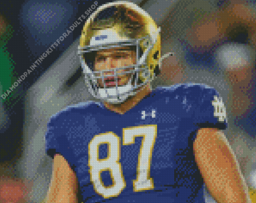 Notre Dame Football Diamond Painting