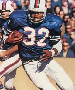 O J Simpson American Footballer Diamond Painting