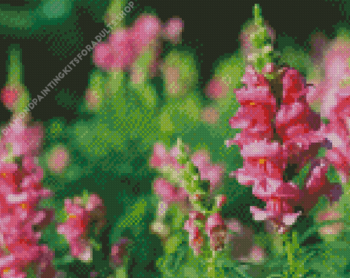 Pink Snapdragons Diamond Painting