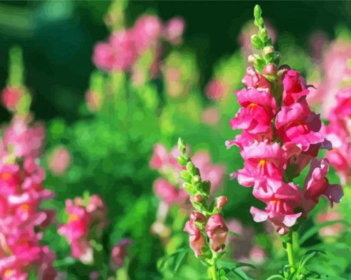 Pink Snapdragons Diamond Painting