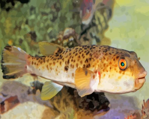 Puffer Fish Diamond Painting