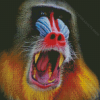 Red Nose Baboon Monkey Diamond Painting