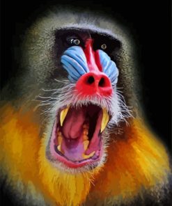 Red Nose Baboon Monkey Diamond Painting